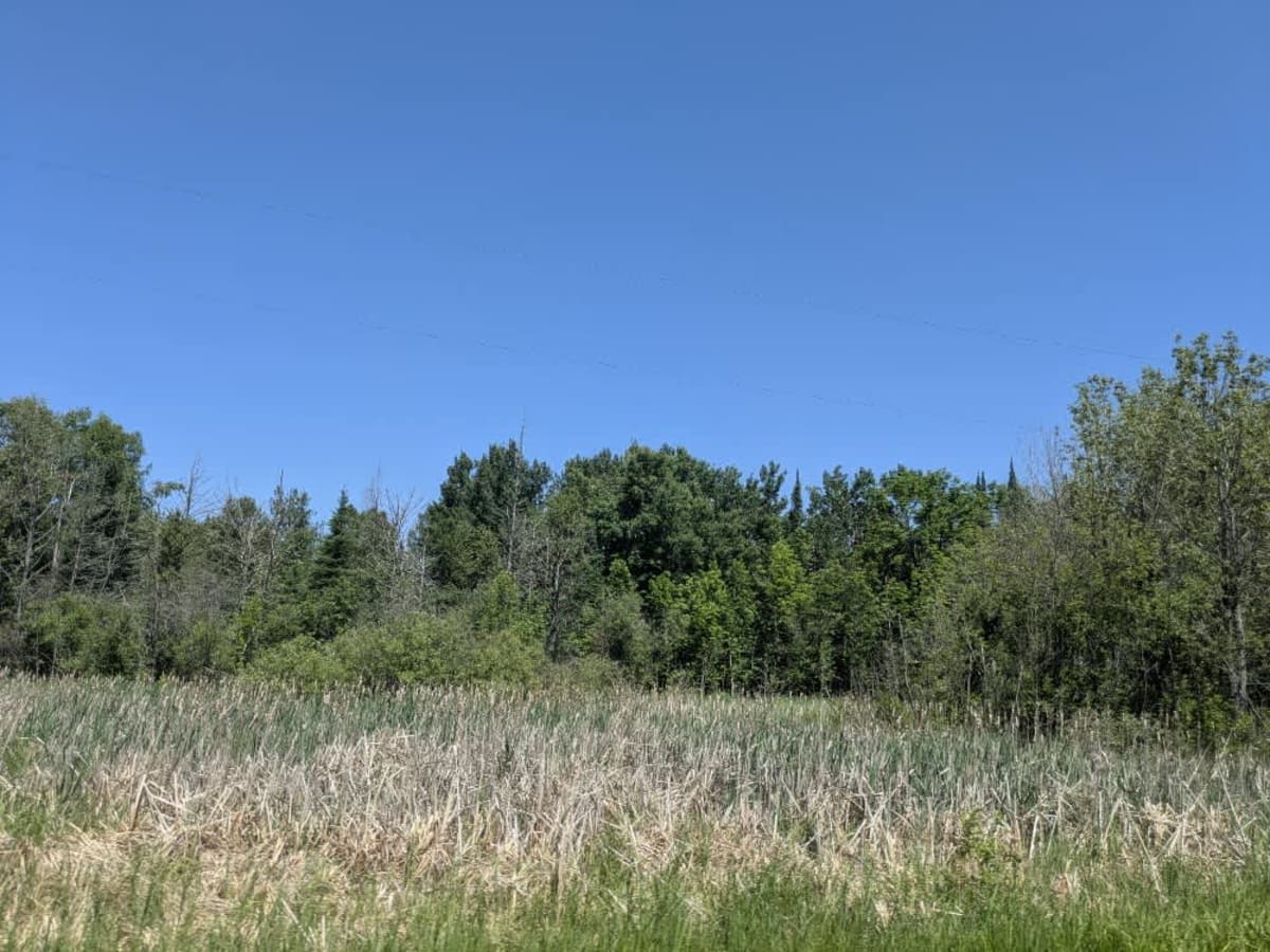 County Road 154 photo 6