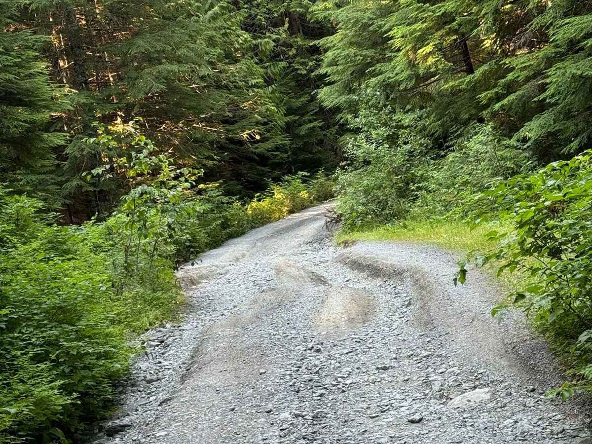 Bear Lake Trail photo 5