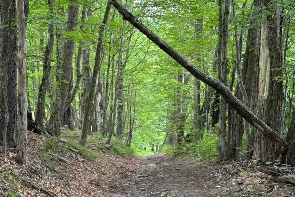 West Murphy Hill Road