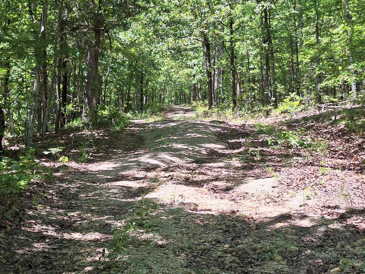 South Windy FSR 3304 photo 4