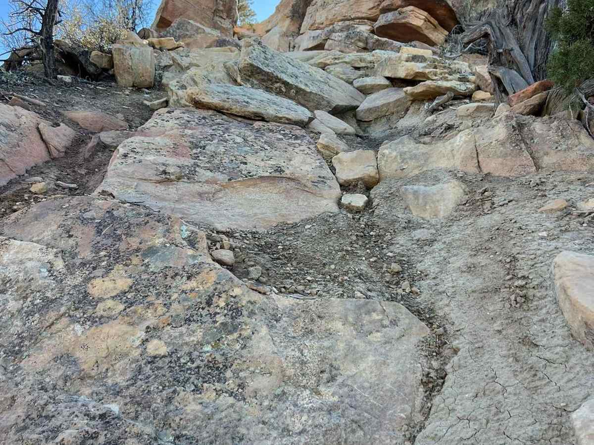 Red Rocks- Night Horse Trail photo 4