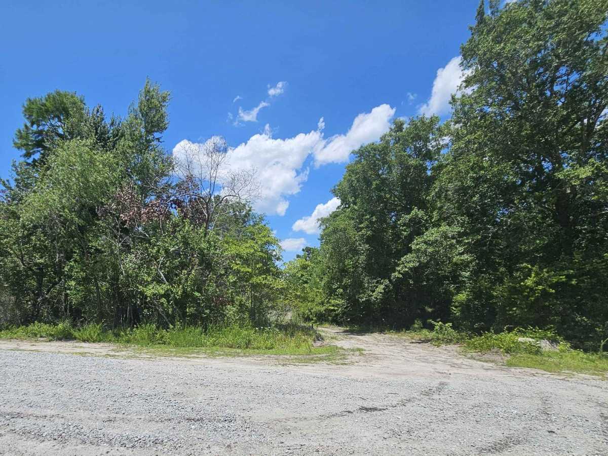 Great Lake Road (126) photo 5