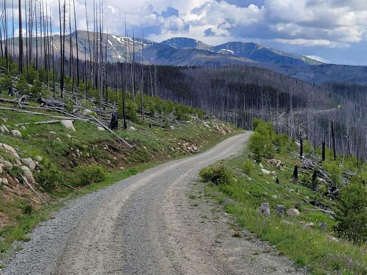 NF 39 (North) - Meadows-Toats trail photo