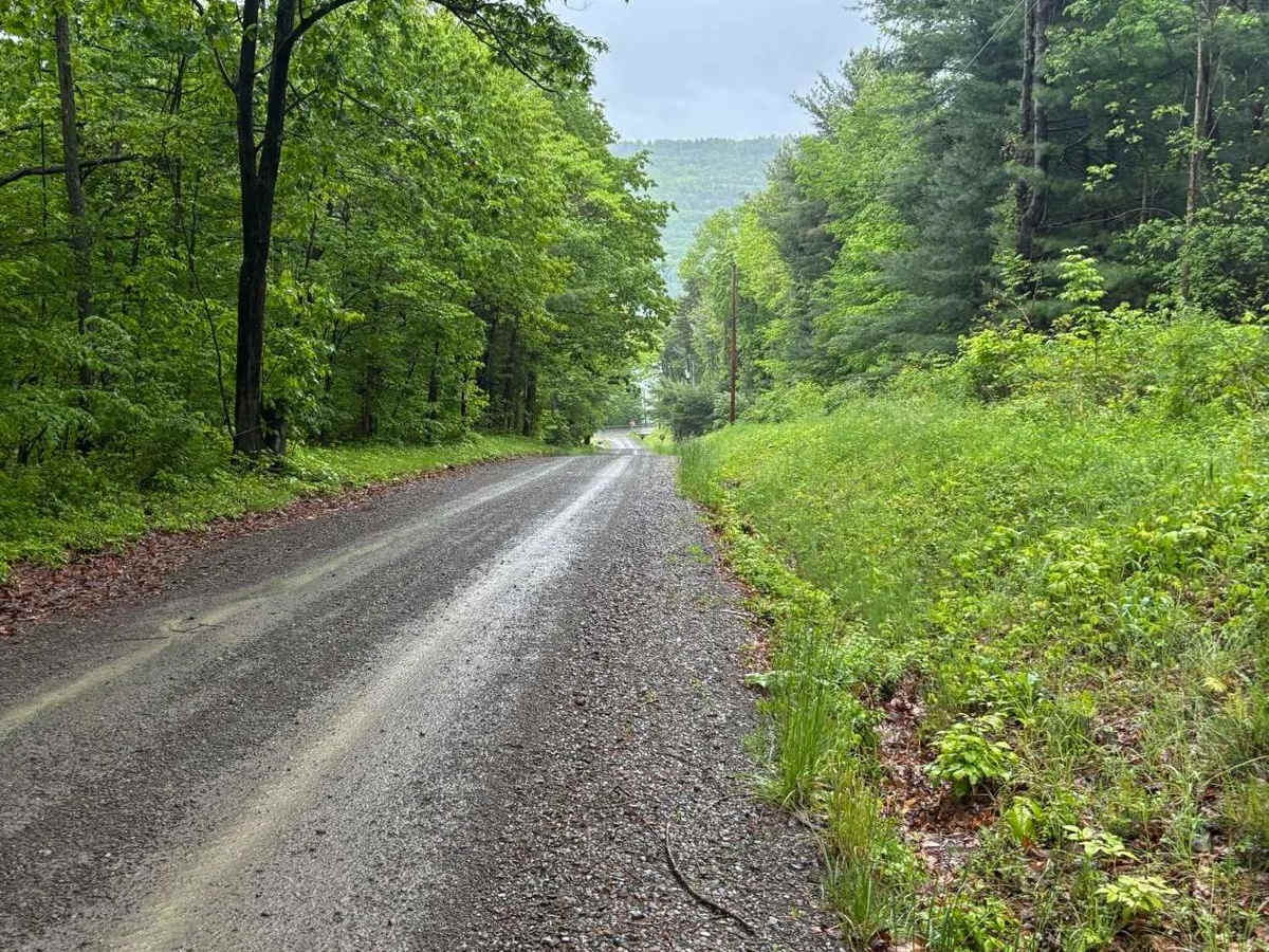 Parker Hill Road photo 3