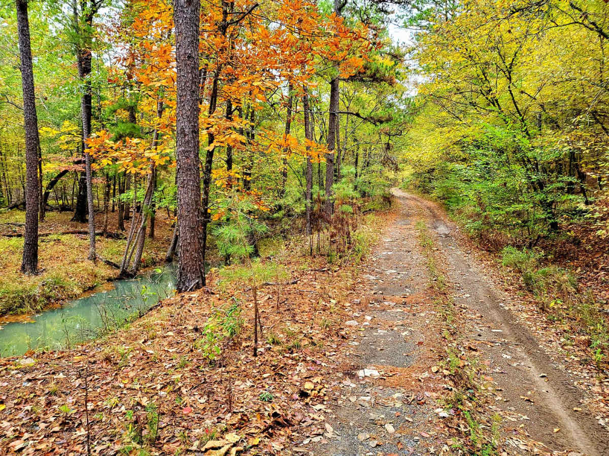 Shell Rock Road trail photo