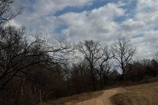 Main Park Entrance Trail