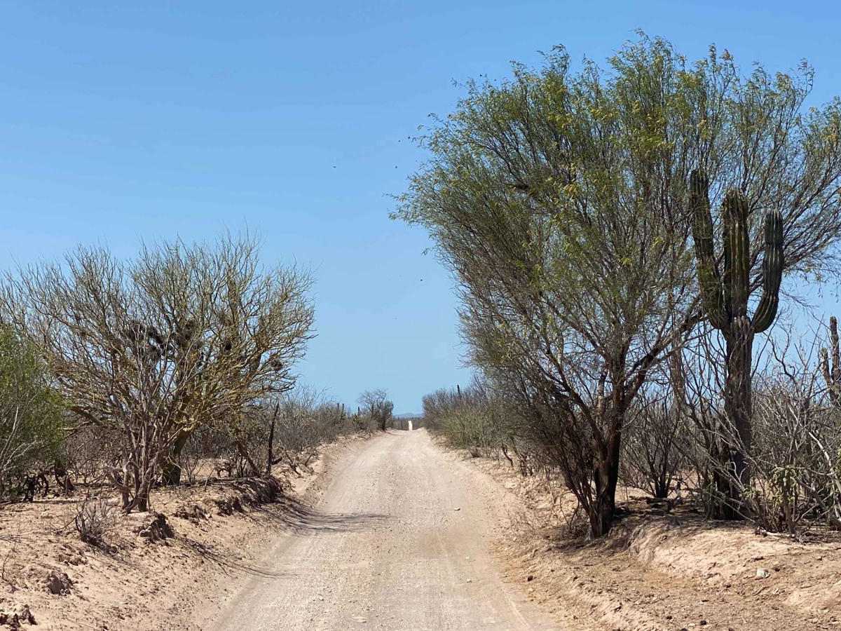 Santa Rita Loop photo 6