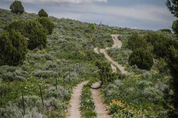 Trail Hollow to Maple Hollow