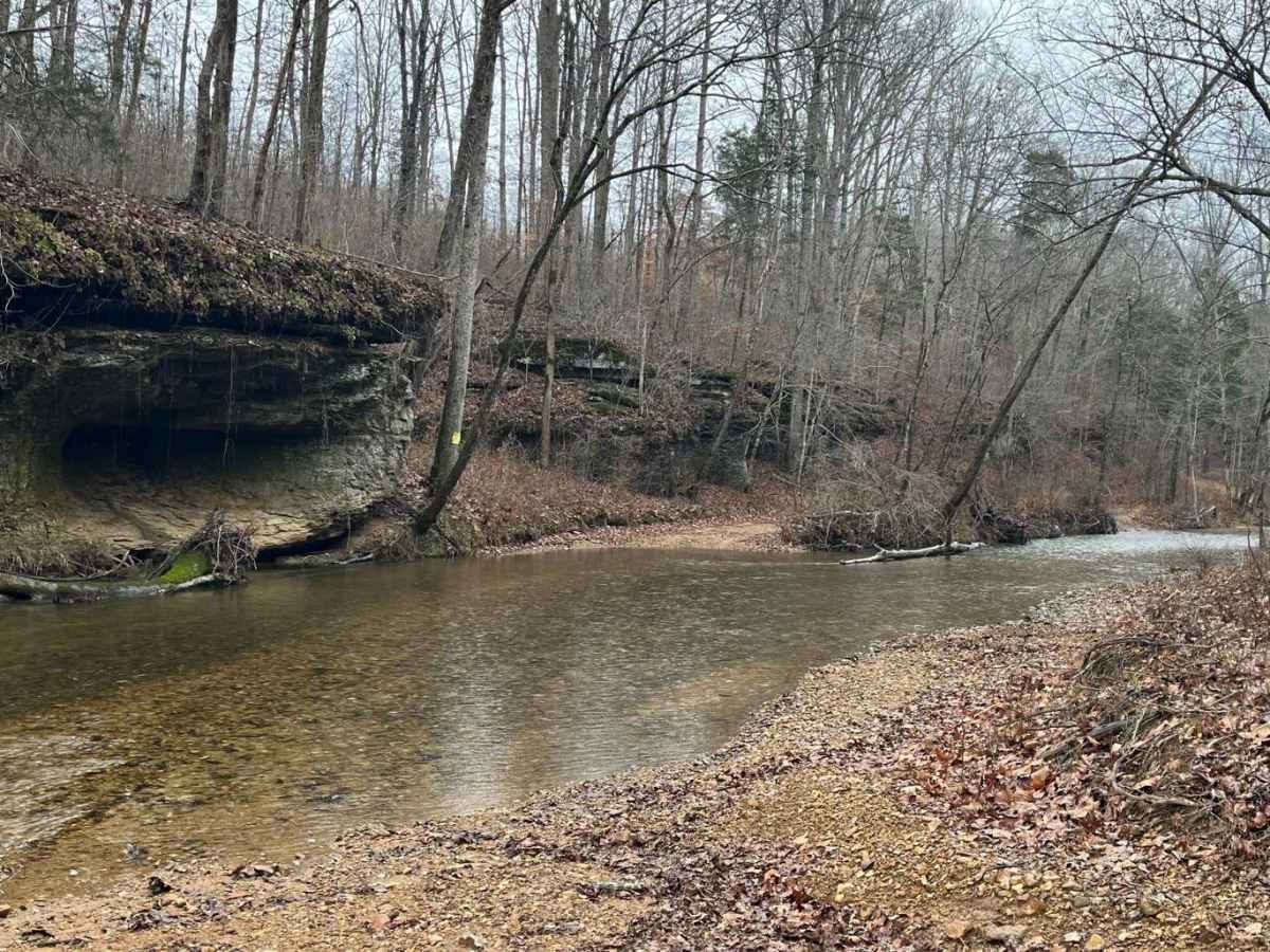 Old Mill Creek Road photo 3