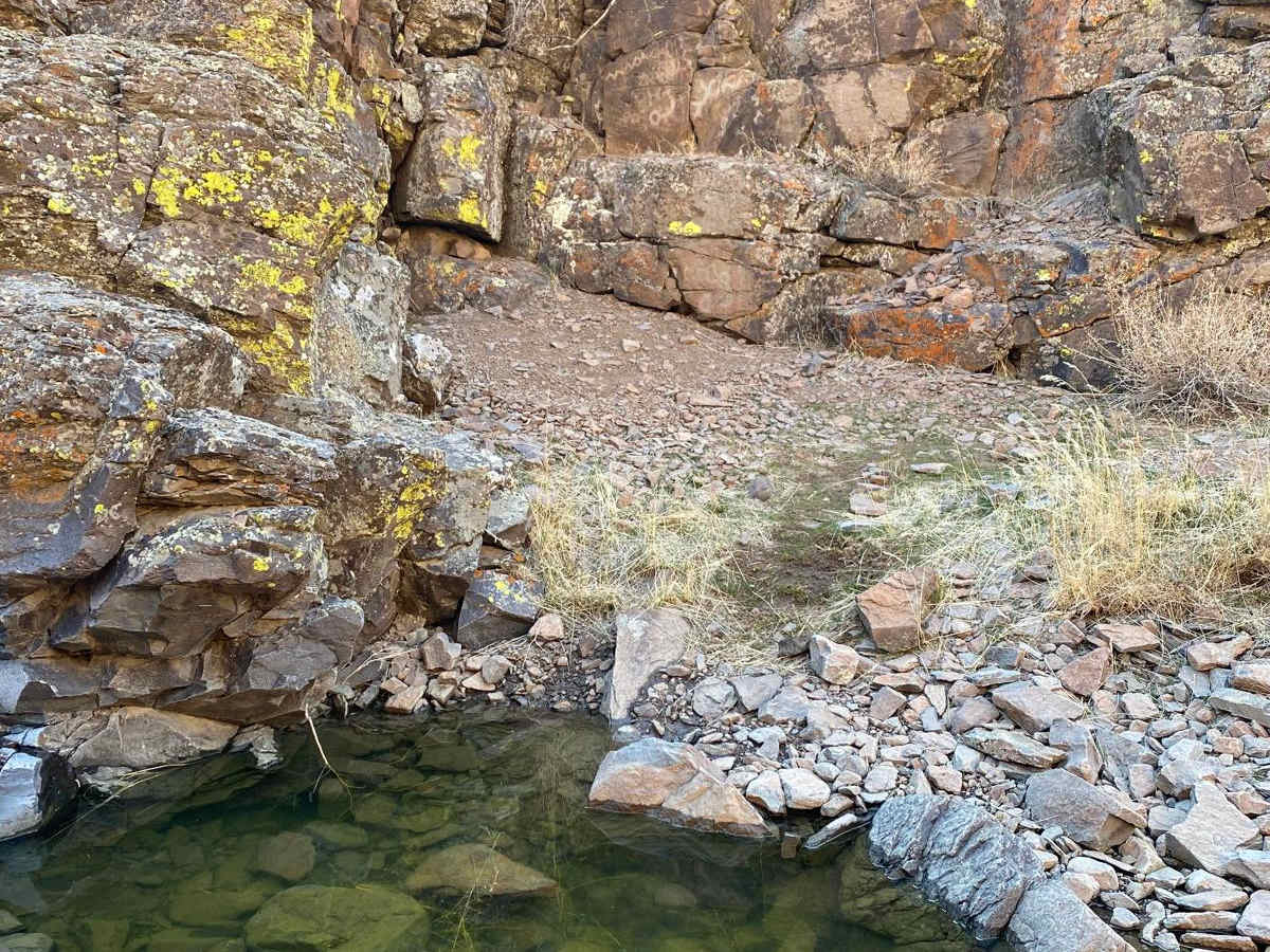 Spanish Springs Petroglyphs photo 5