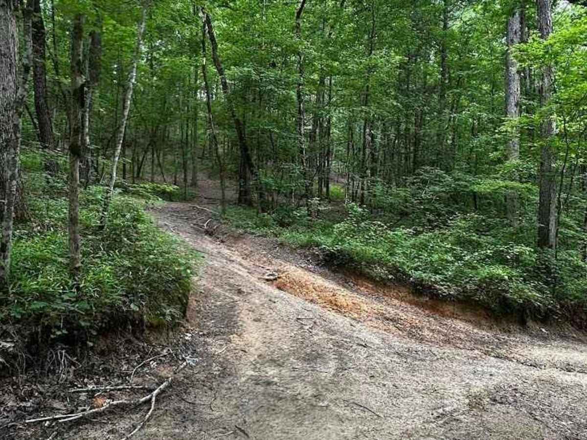 Trail 15 photo 3