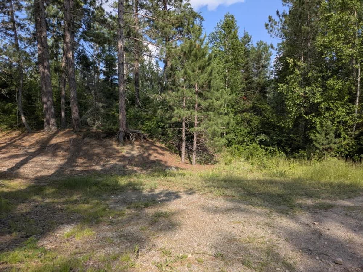 Stony River Trail photo 3