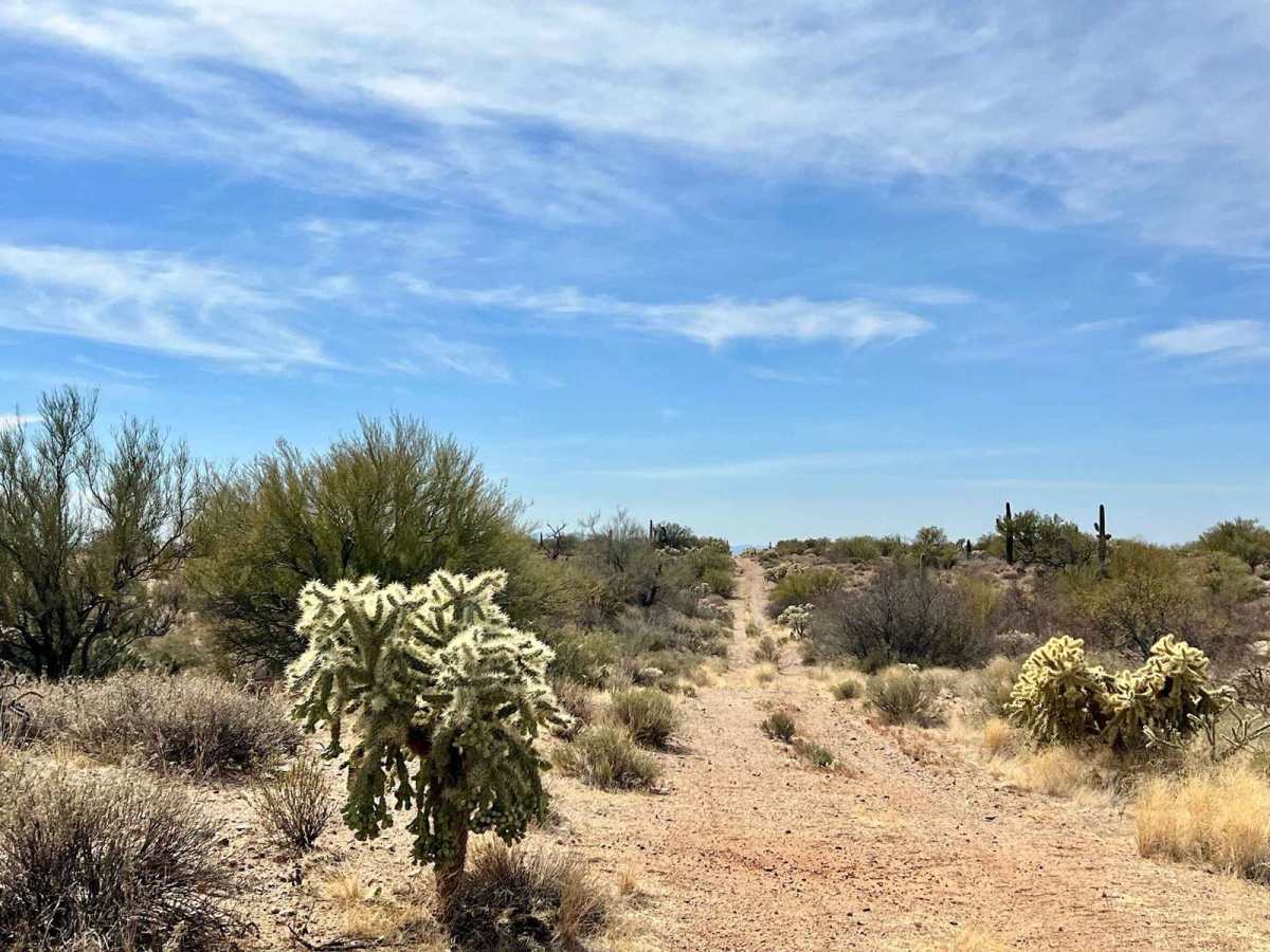 Freeman Pipeline Trail photo 3