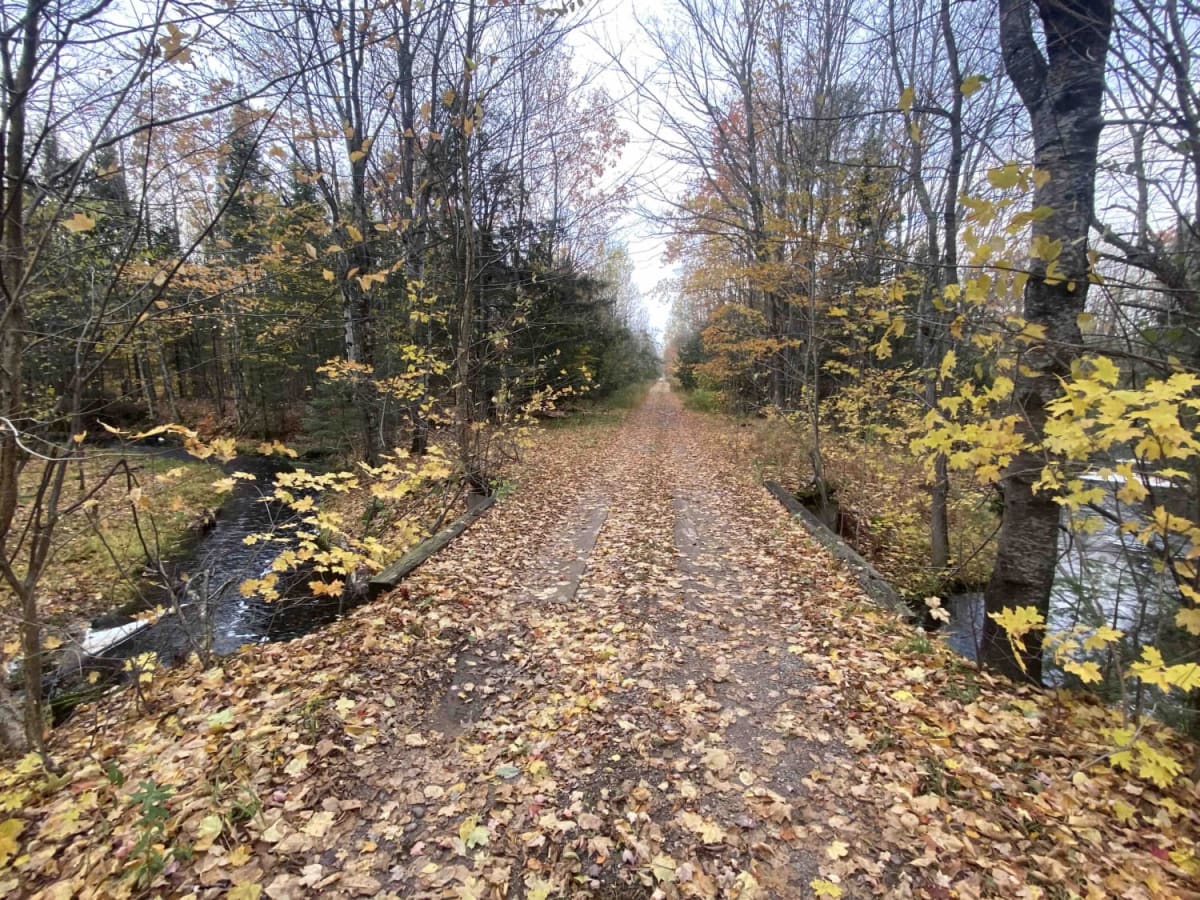 Camp Four Trail trail photo