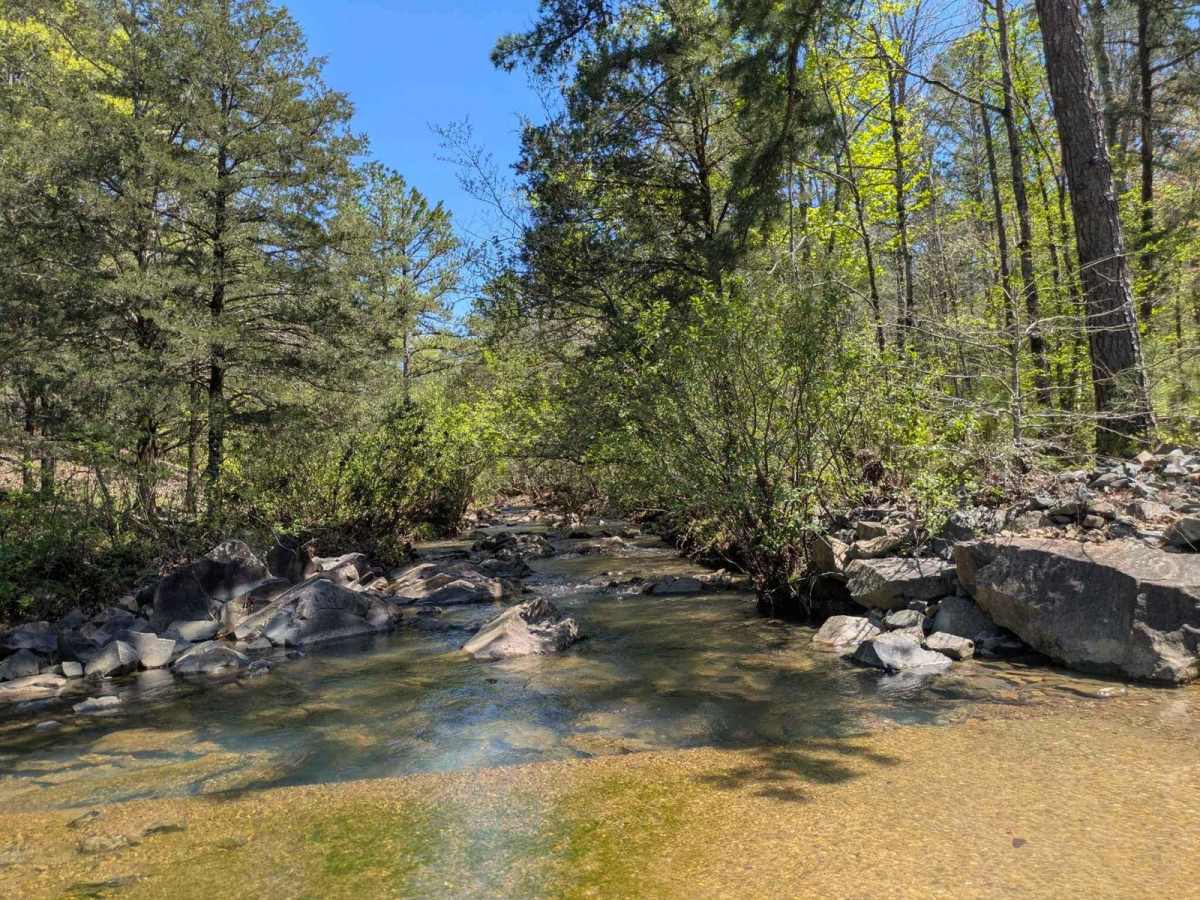 53500 Creek Trail photo 4