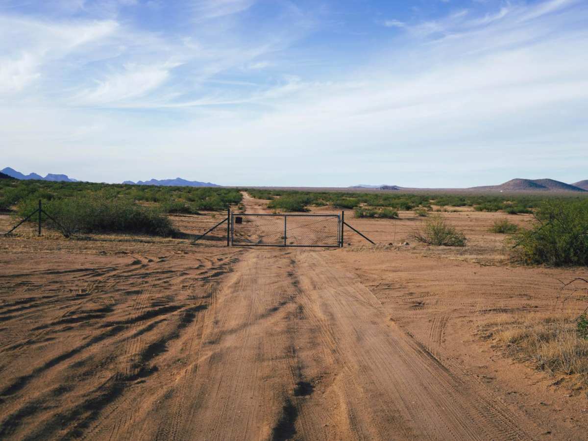 Jam Ranch photo 3