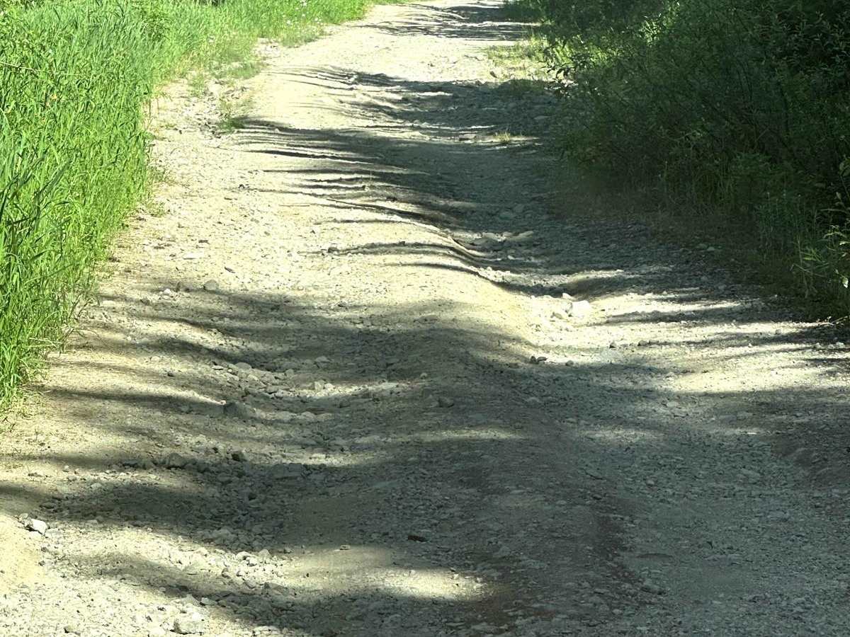 Towhead Gap Trail photo 6