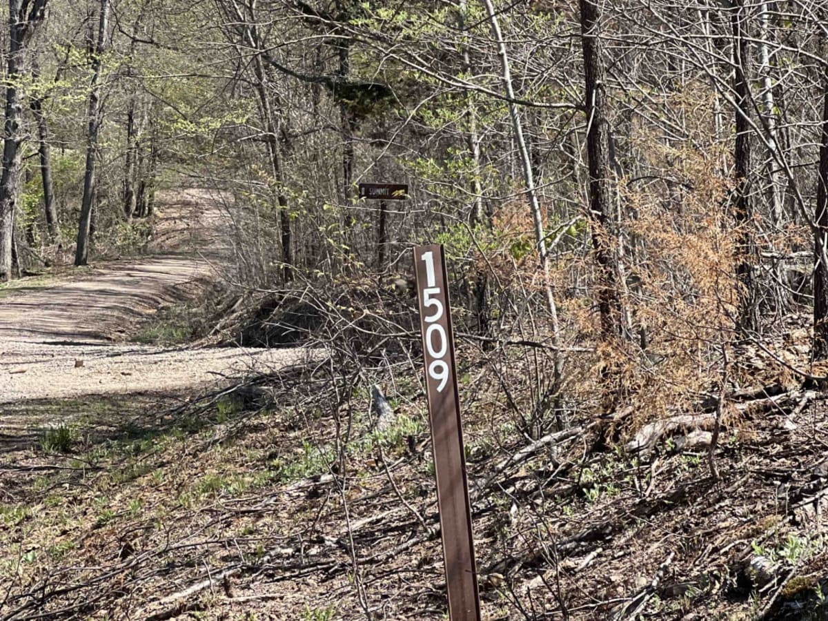 Ragtown/Mill Creek Rd 1509 trail photo