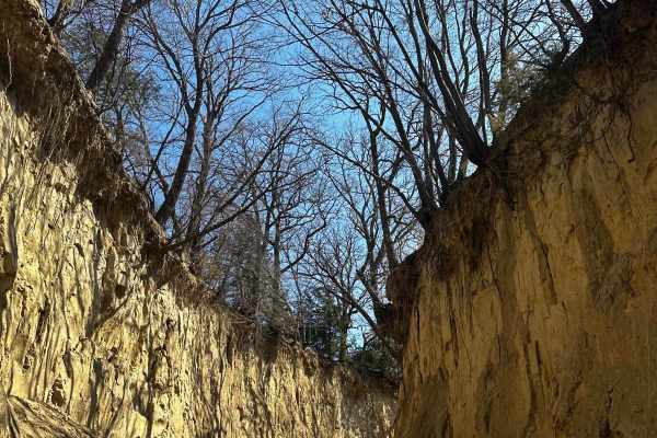 Waubonsie Creek Trail - Pathfield Road