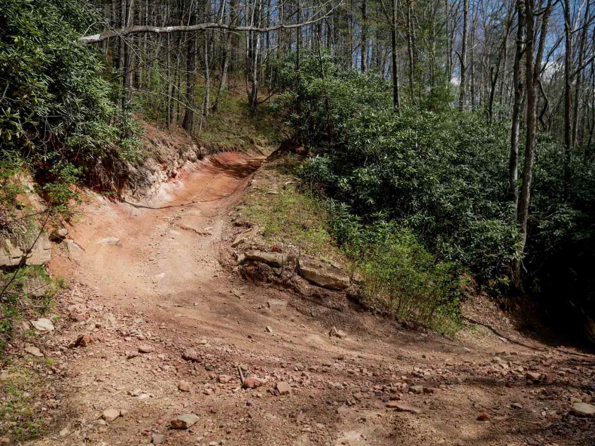 P22 trail photo
