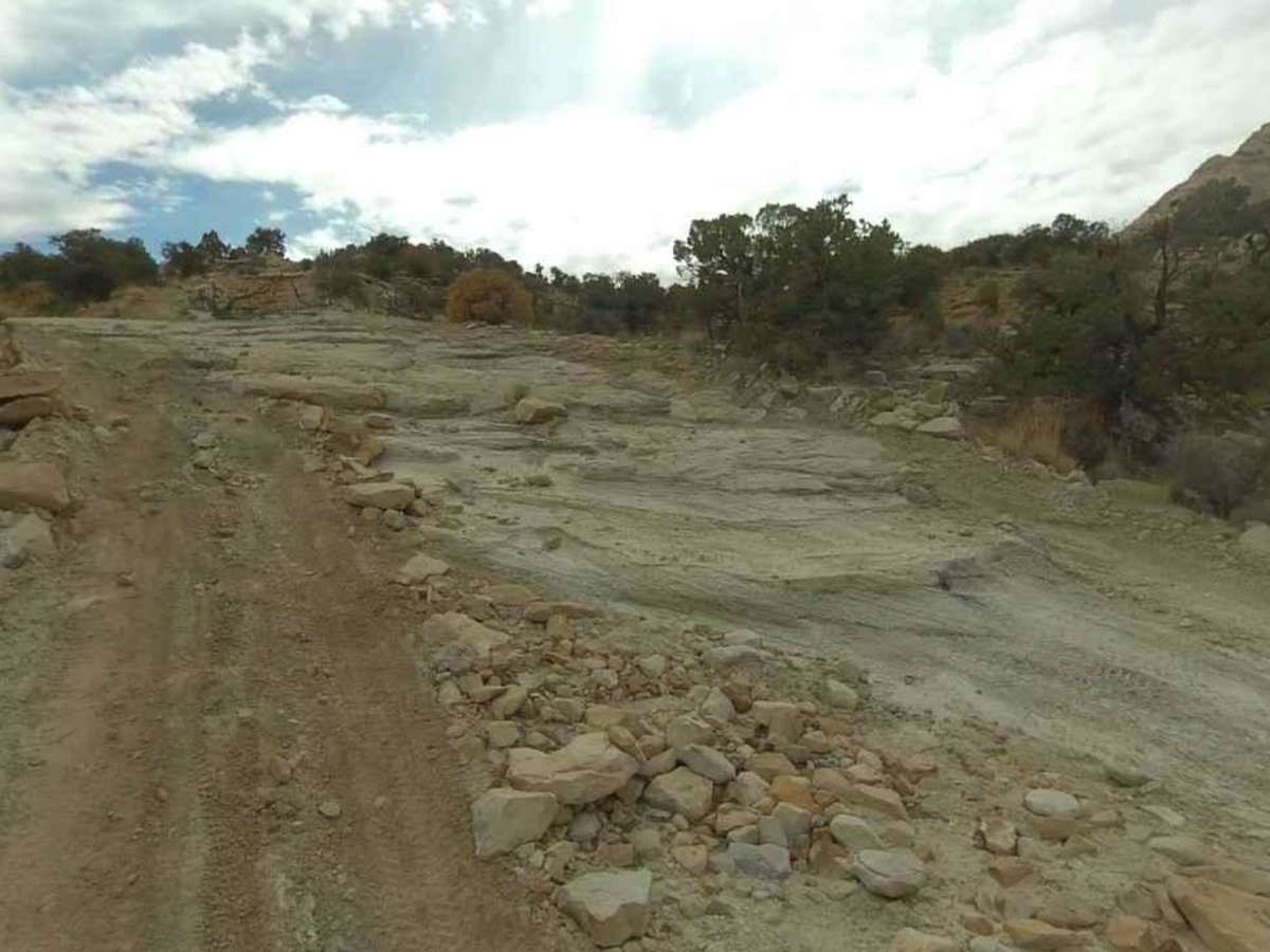 BLM639 photo 6