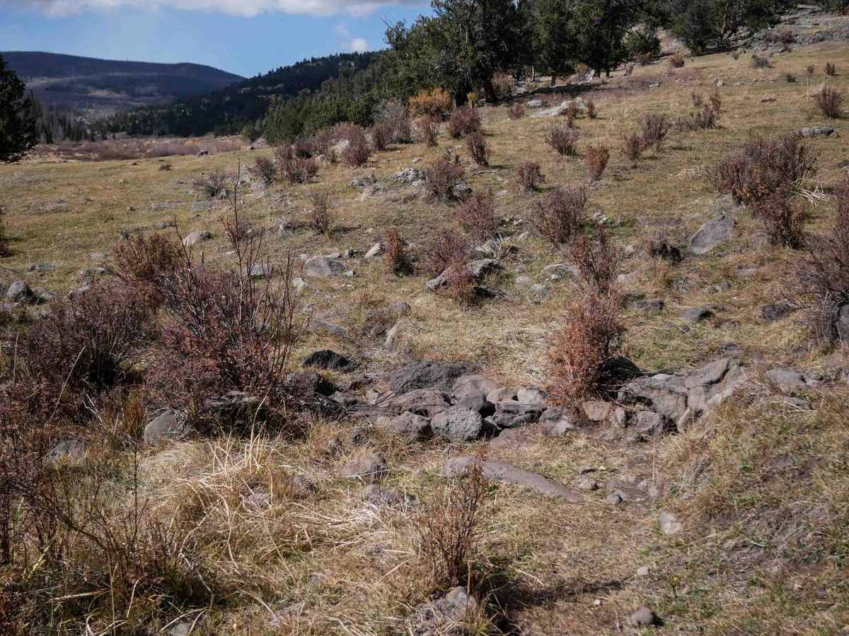 La Garita Creek Single Track photo 4