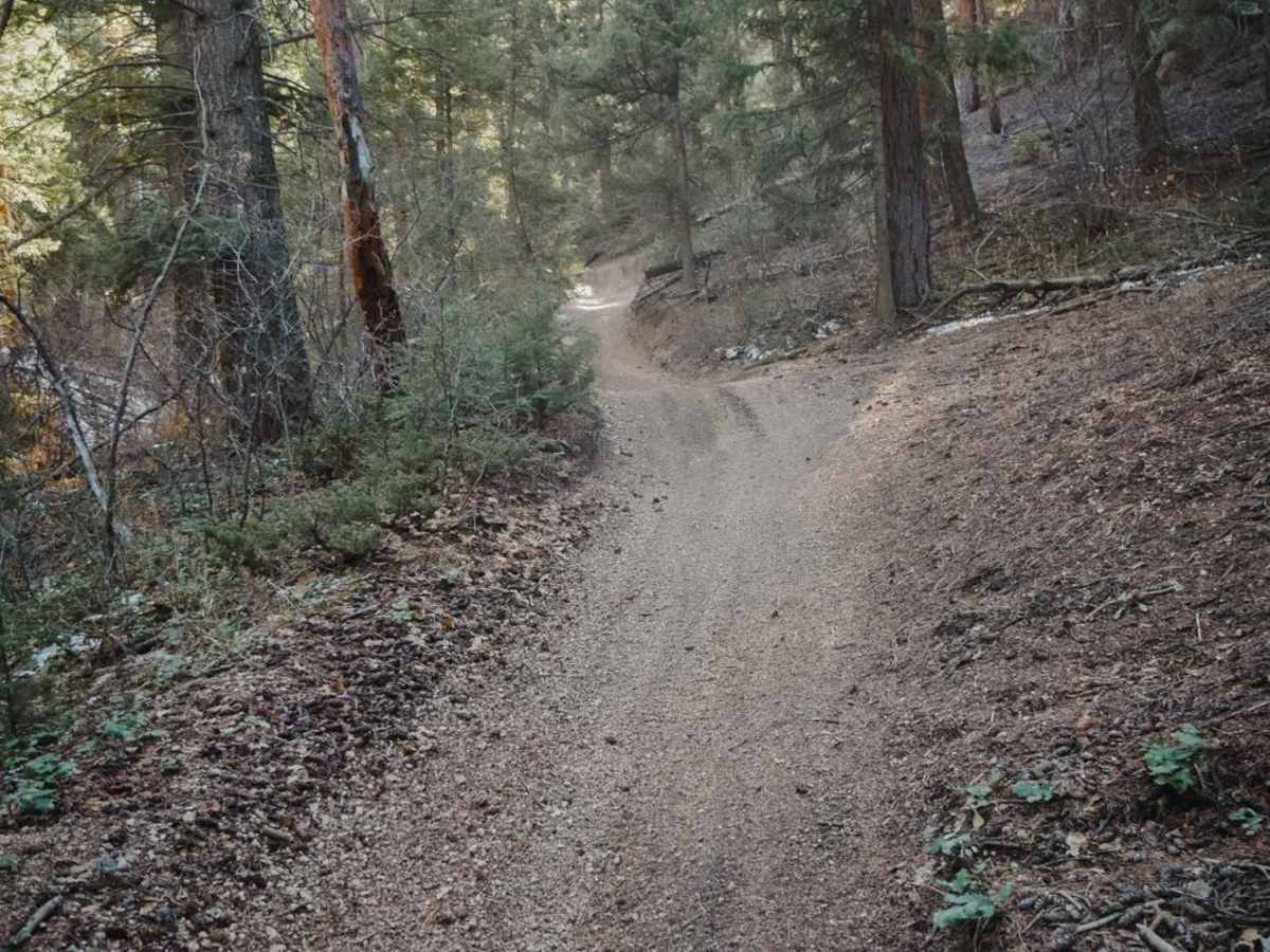 688 Beaver ATV Trail photo 2