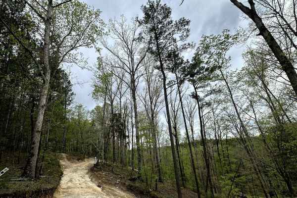 Trail 18