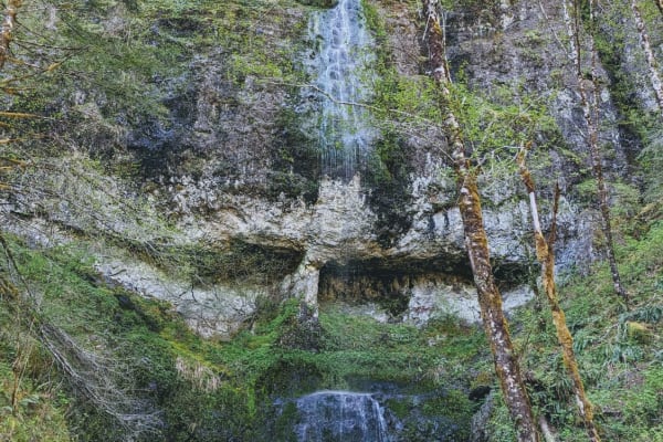 Kilchis Falls Spur