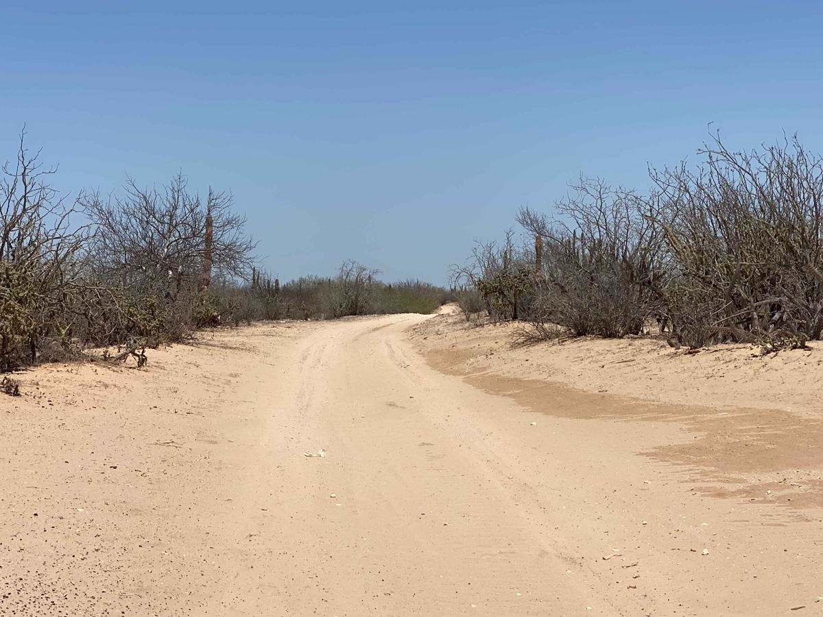Lomita Amarilla North photo 2