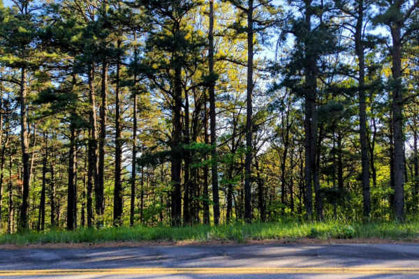 Page Smithville Route: OHV Trail 6007