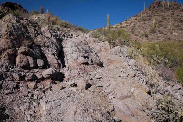 Picacho Peaks Singletrack