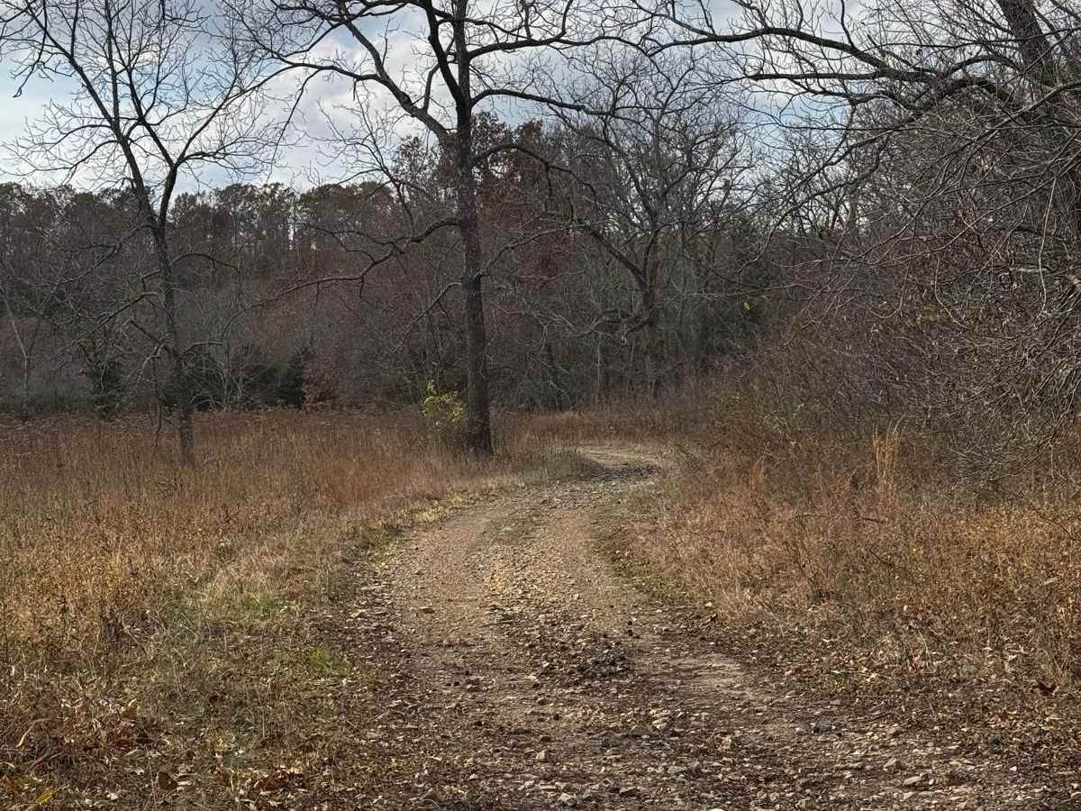 Big Cat Mid trail photo