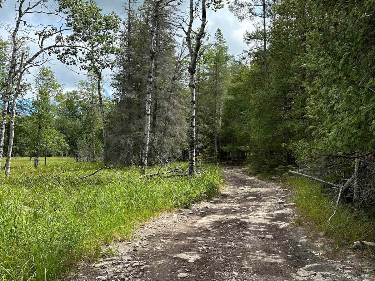 Grass Lake DD Loop photo 2