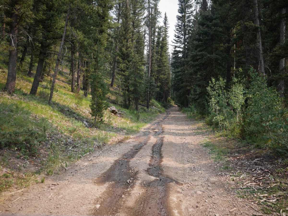 Fourth of July trail photo