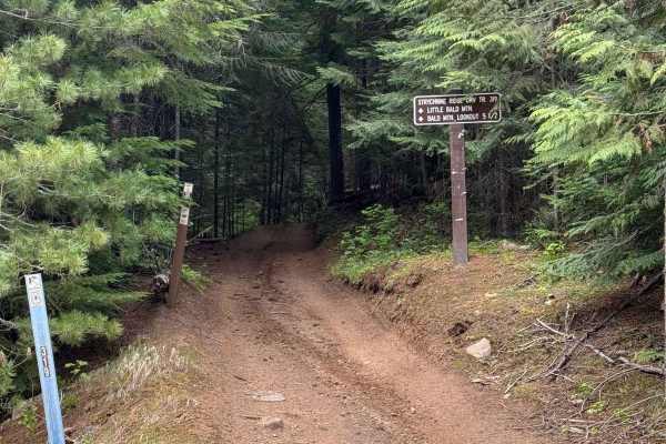 Strychnine Ridge (Trail 319)
