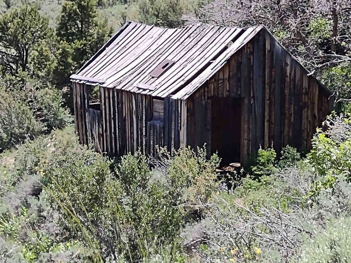 Miner's Cabin (Gold Gulch Canyon FS# 41078) trail photo