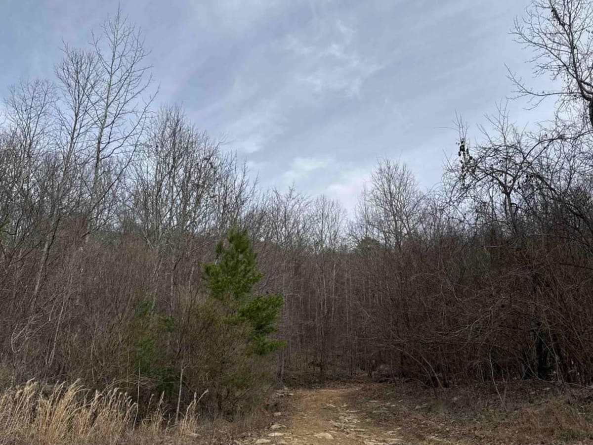 #89 Gobbler's Ridge photo 2