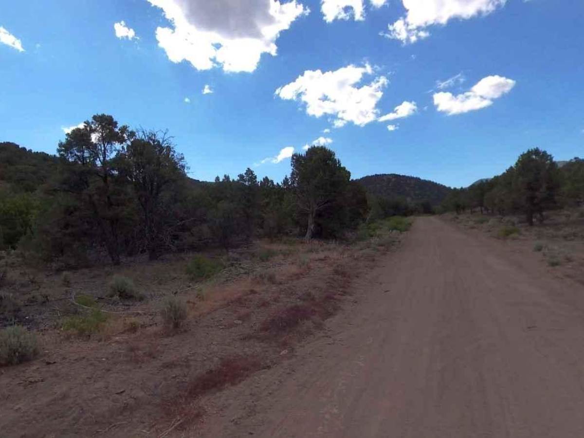 Page Ranch Road-FR30029 photo 3