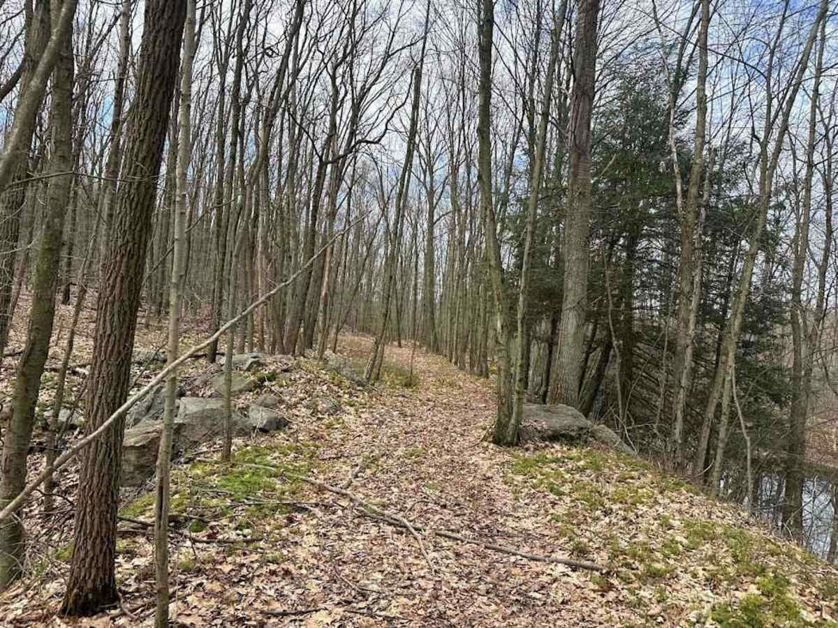 Ashland 136 photo 5