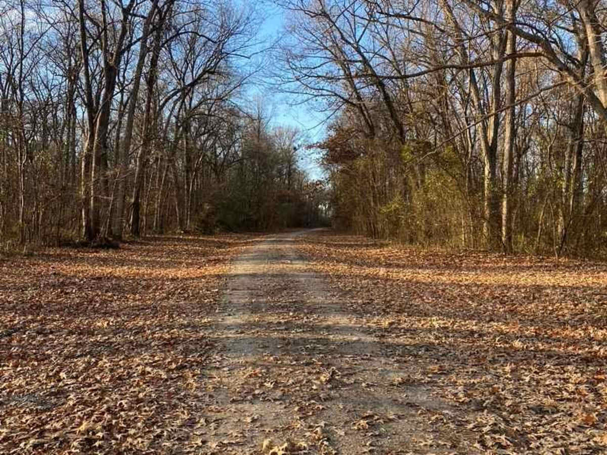 Ernest Rice Road photo 2