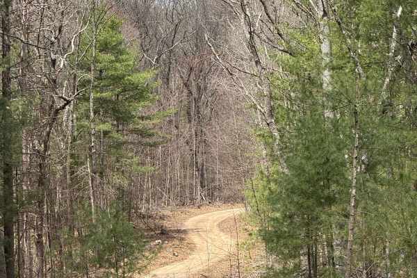 NFS 5452
