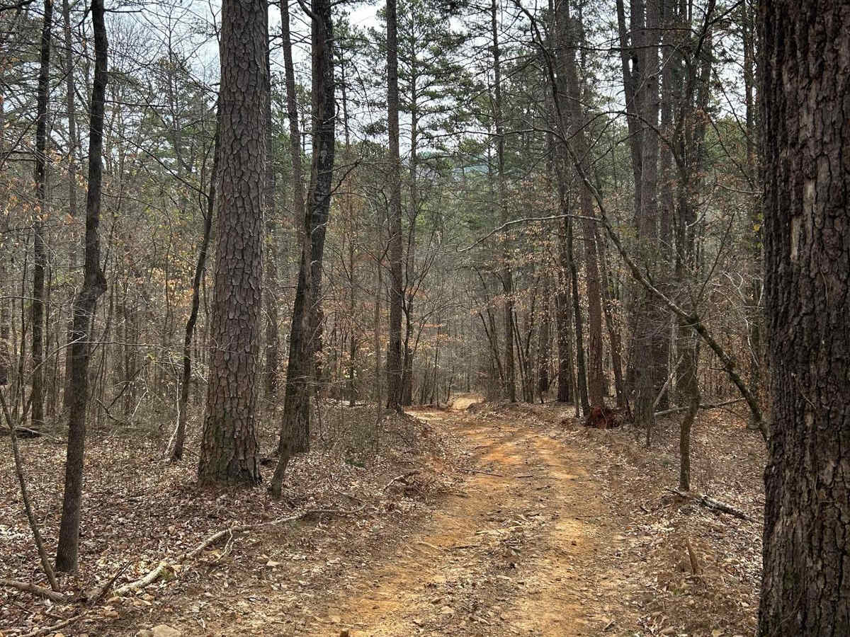 1424 Road photo 2