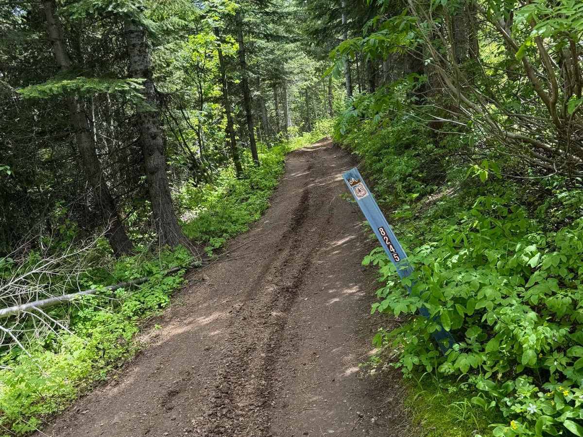 Greenhorn trail photo