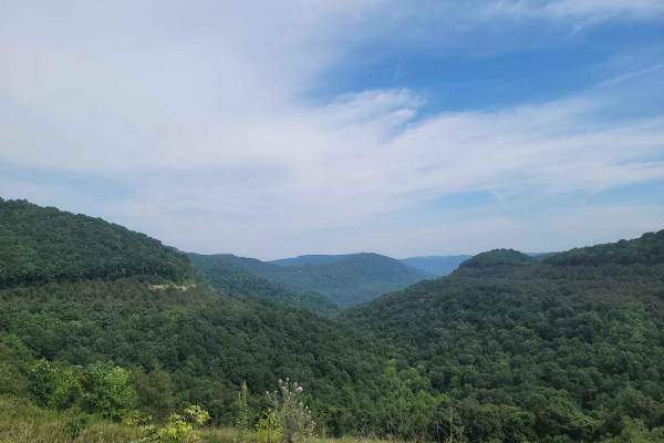 G9 - Peachtree Gap