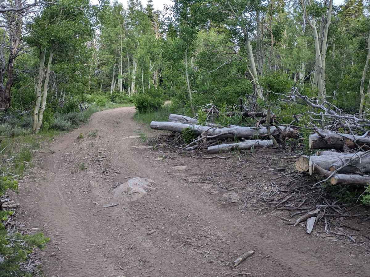 Big Springs East trail photo