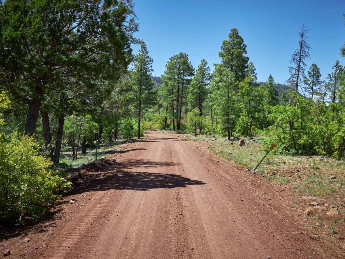 Bill Williams Mountain photo 2