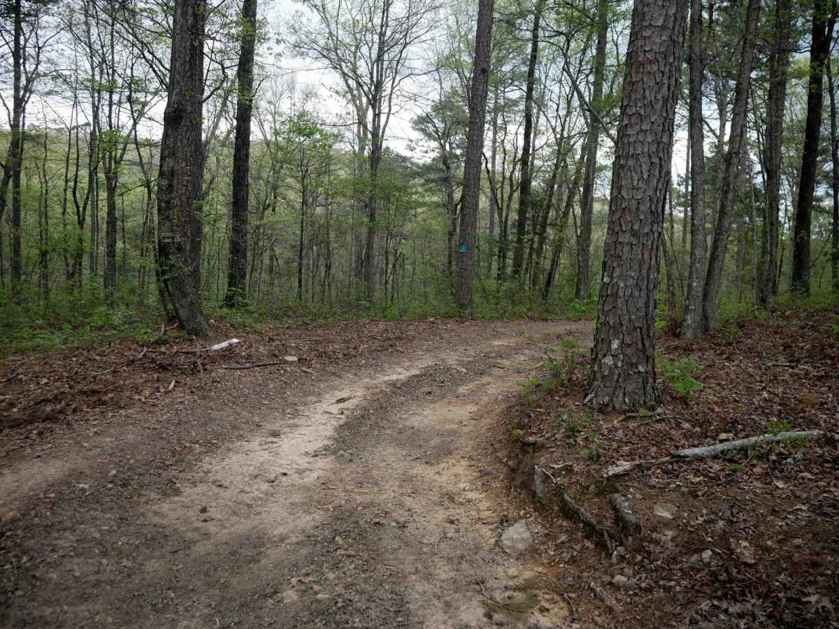 Gap Hollow Loop photo 6