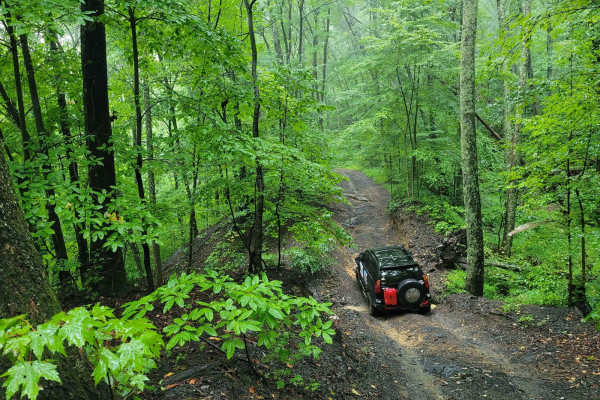 Trail 87 - Poplar Creek