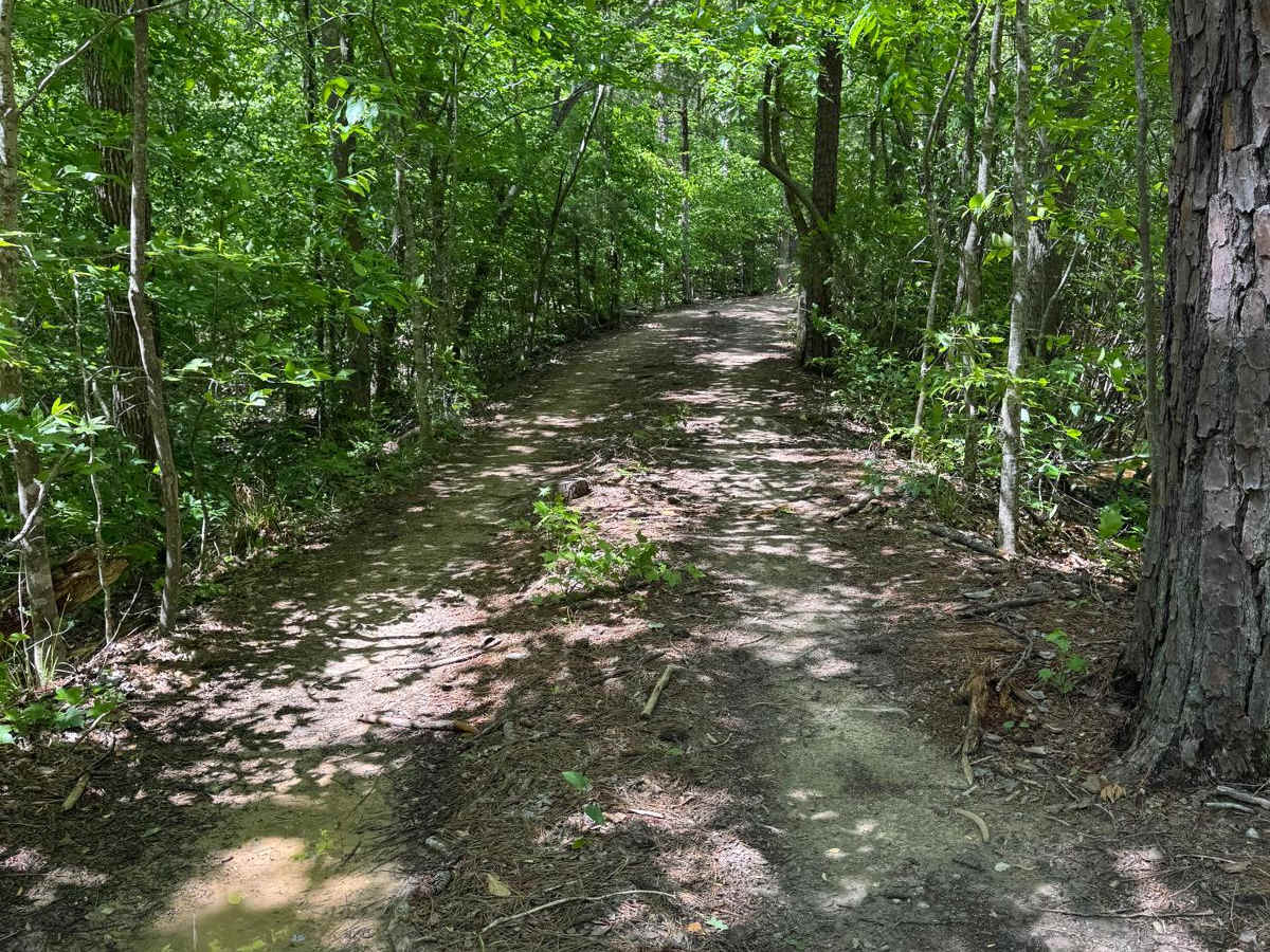 That Dam Trail photo 5